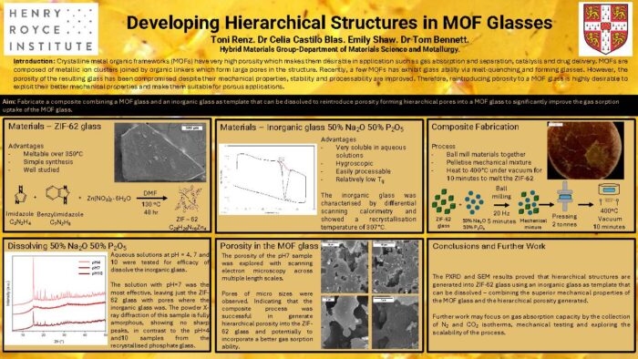 Developing Hierarchical Structures in MOF Glasses